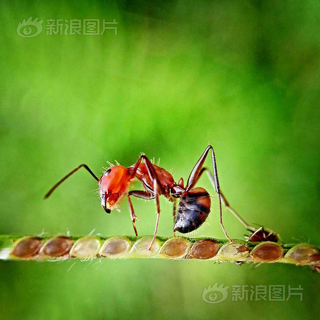 中国高清69   HD更