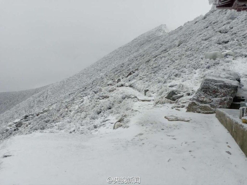 免费??黄色直播