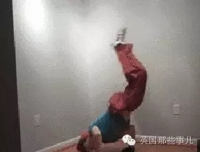 裸体视频网
