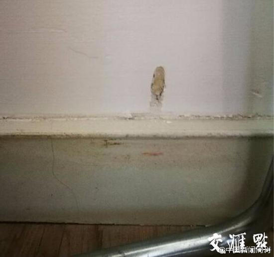 国产激情网