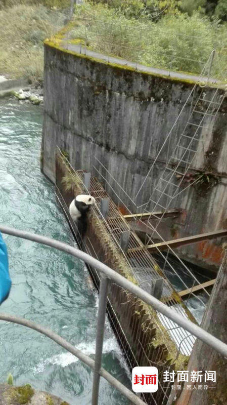 偷拍国模馒头屄撒尿