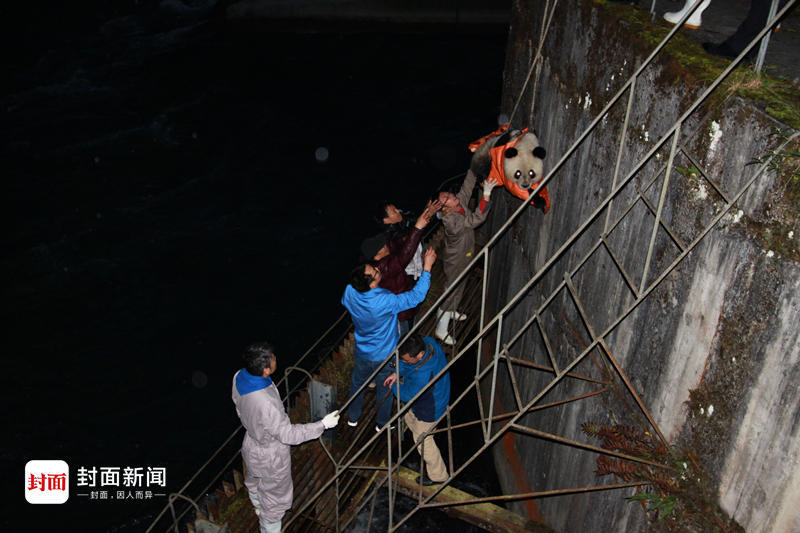 被黑人大鸡巴肛交