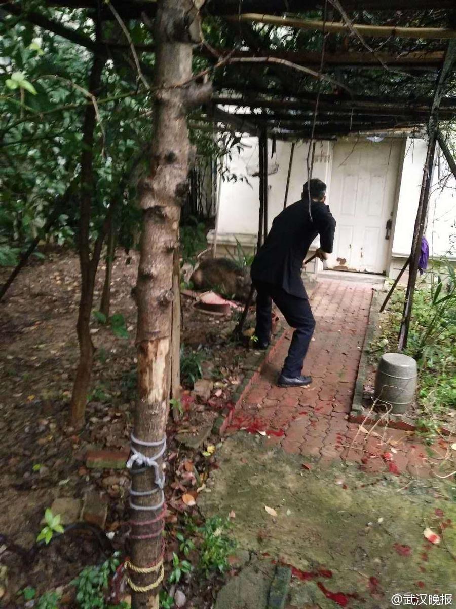 苍井空性高潮