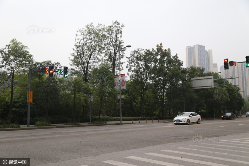 又大又粗又硬又爽又黄毛片视频