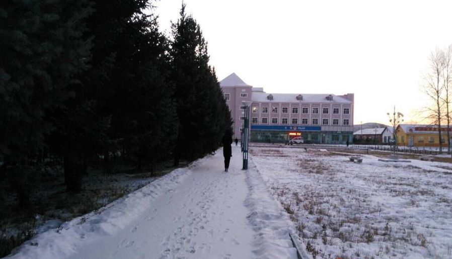 刘亦菲与黑人无套内谢