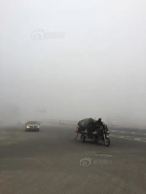 色 片 直播