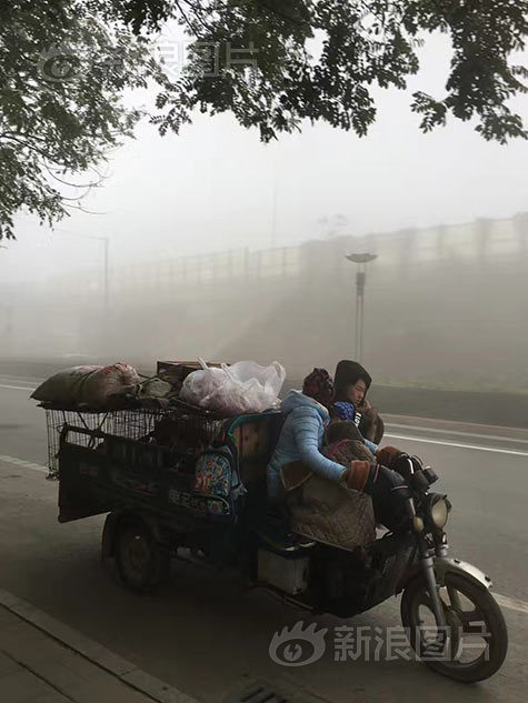 女人又爽 又黄 免费白人