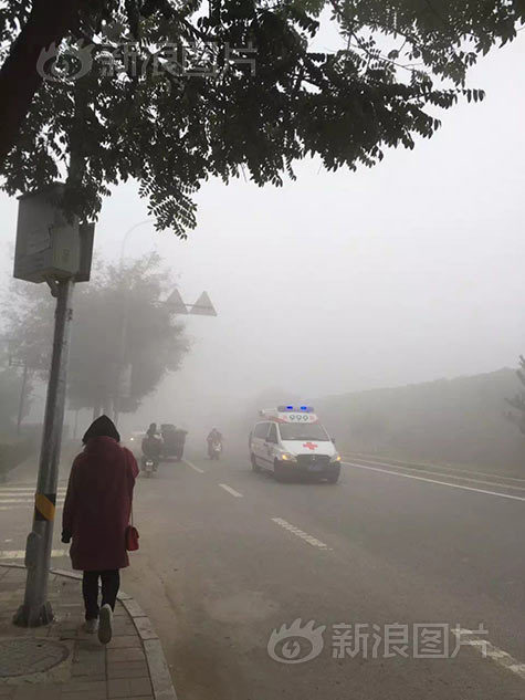 搡老女人P老熟妇老熟女