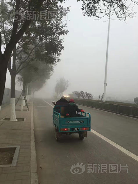国产做受   高潮996