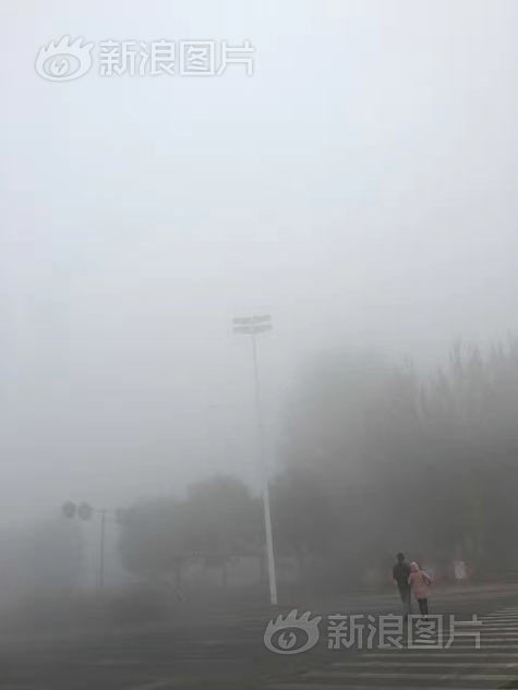 一极毛片