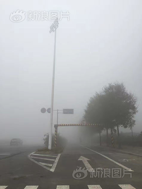 综合色区