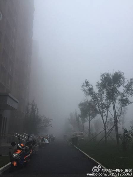 成年人高清无码免费