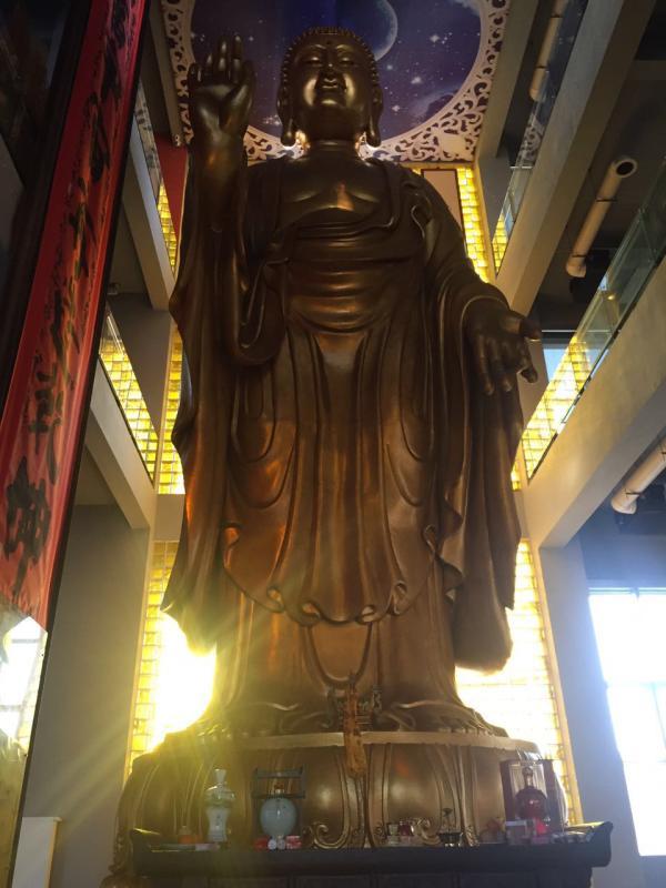欧美人与牲禽发生性行为的后果