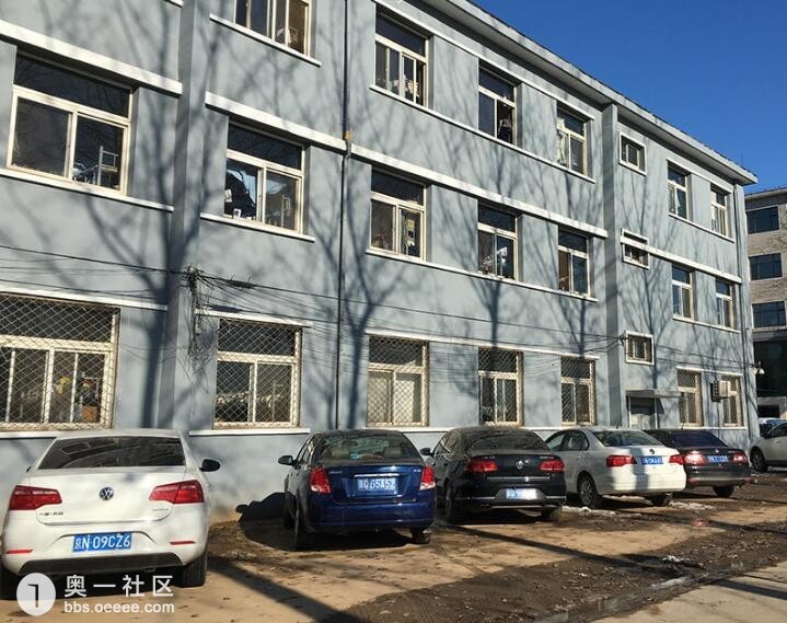 久操视频在线观看