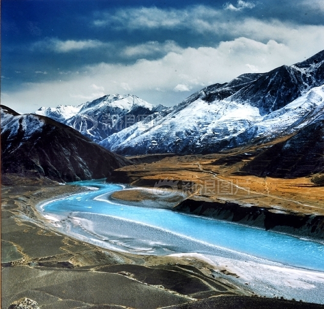 陰道擴張器