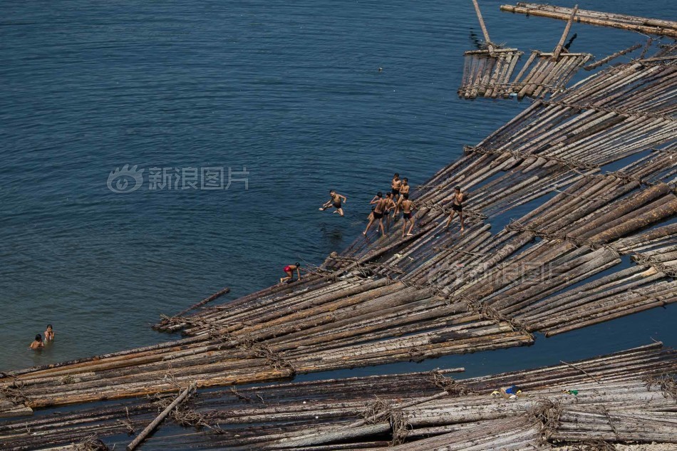黄片免费看免费下载