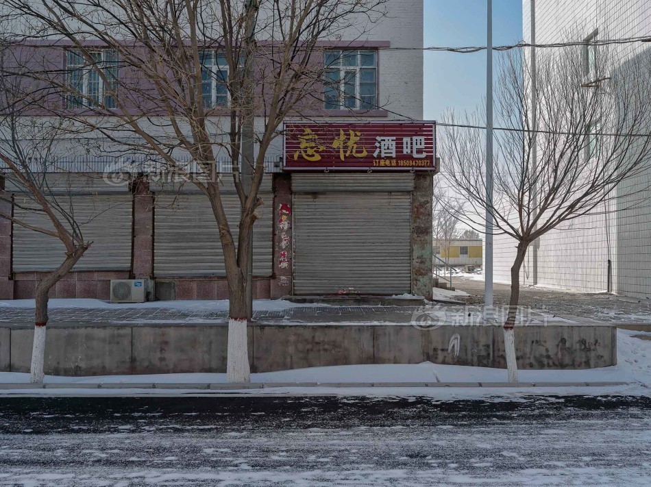 免费高清视频黄色网站
