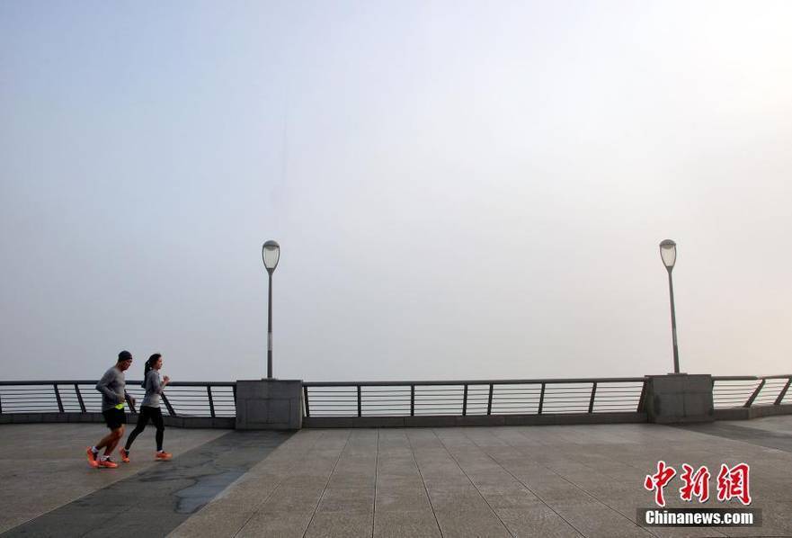 顶级黄色网站
