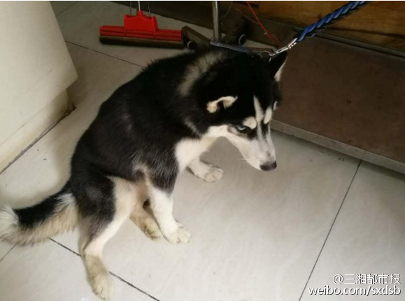 高清无码黄色网址