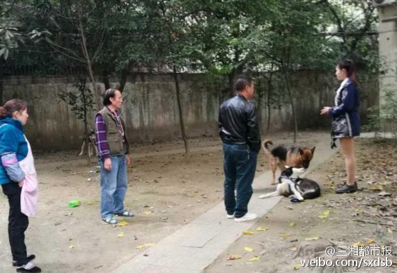 无码性爱网址