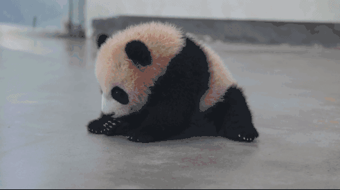 黄色三级电影资源