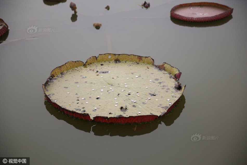 91  精彩刺激对白