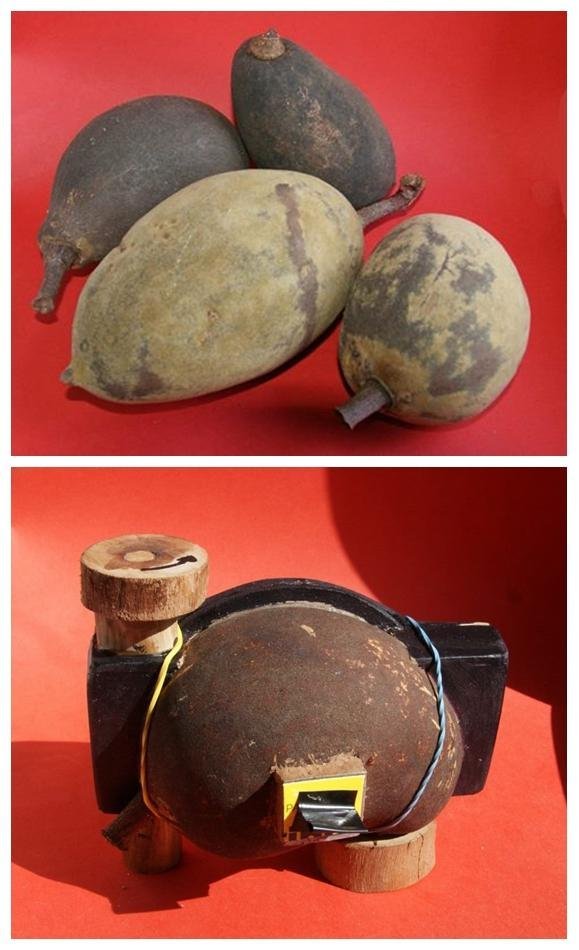 欧美三级片性生活