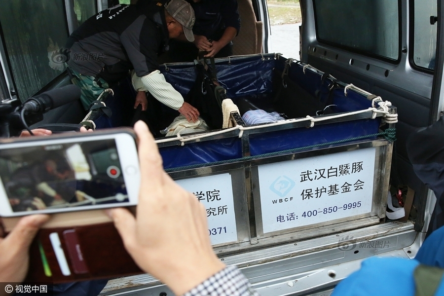 性操女人网