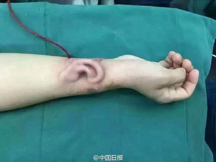 免费可以看黄色视频的网站