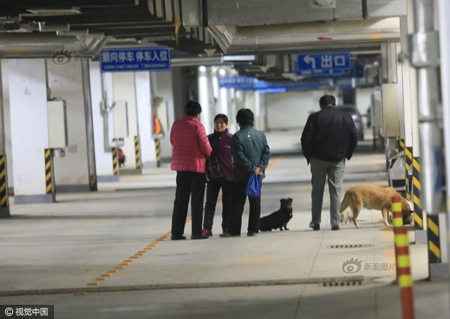 伊人直播