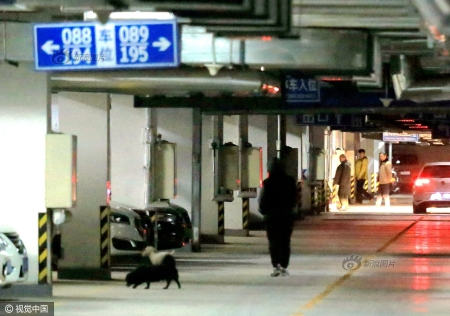 泰國變性人