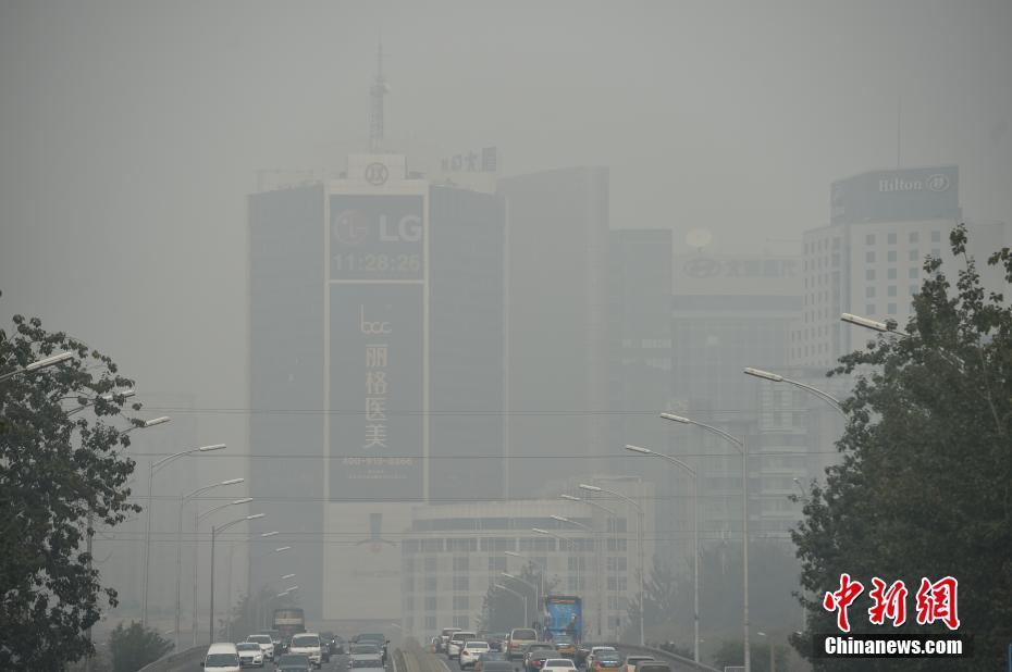 八戒午夜福利理论片