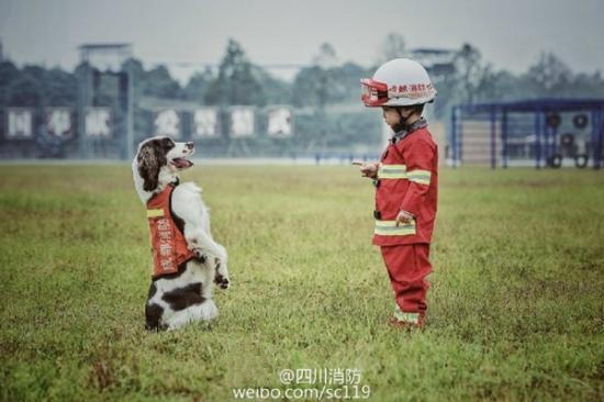 麻豆精品秘 一区二区三区