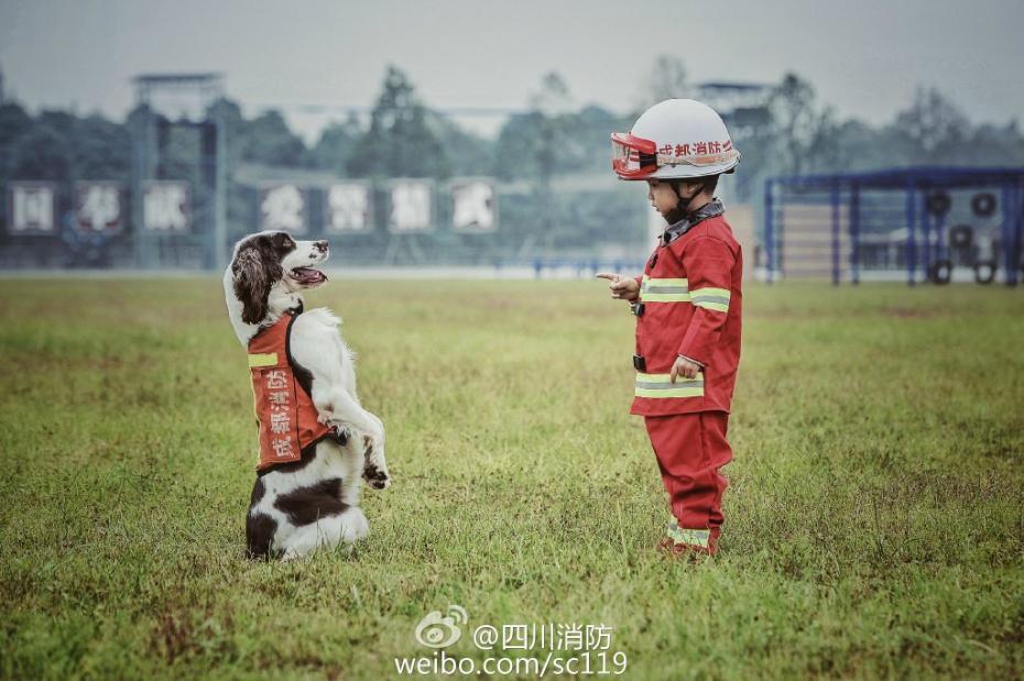 人操人