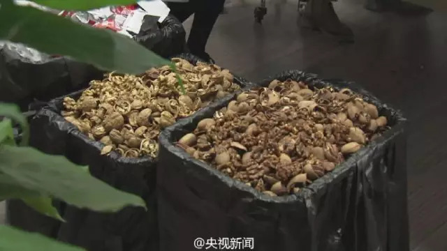凤蝶直播