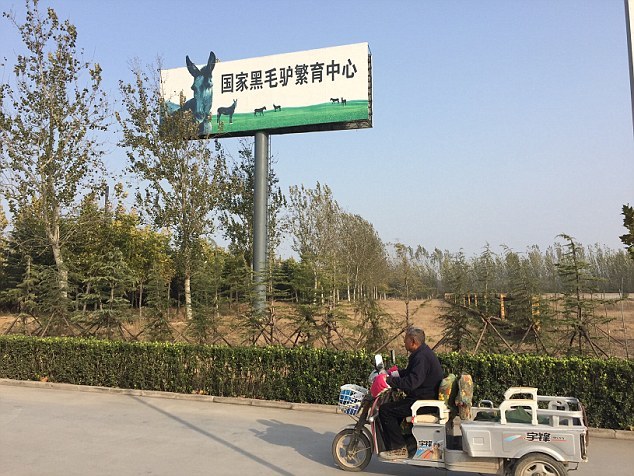 亚洲欧美日韩一区
