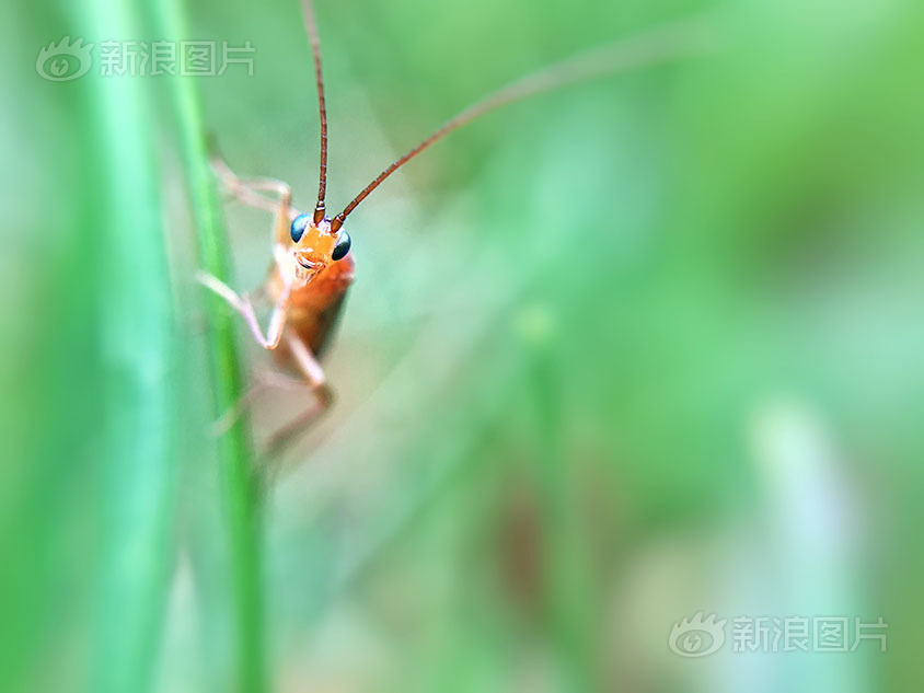 丰满岳乱妇一级A片