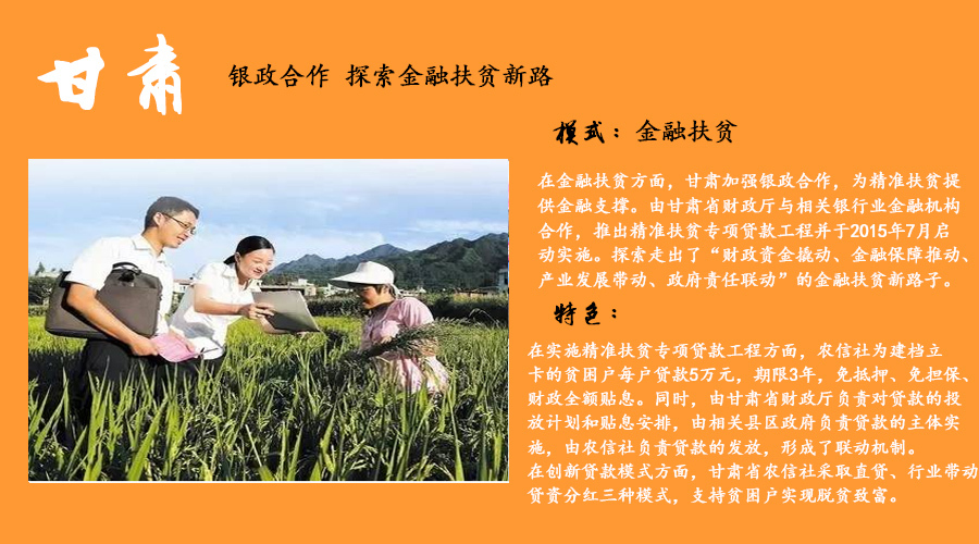 手机毛片
