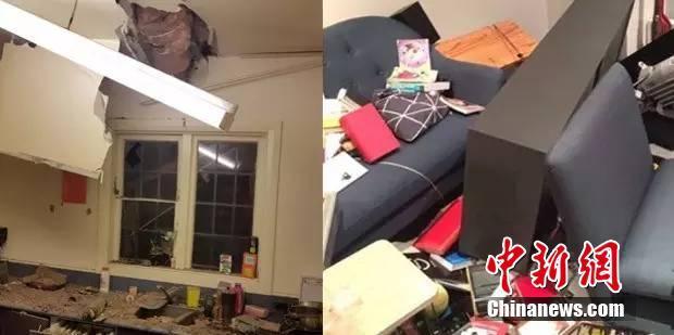 日向花火