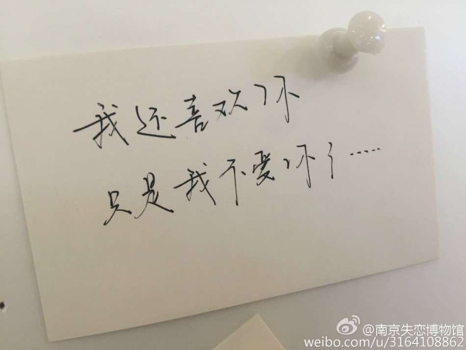 成人 动画 中文