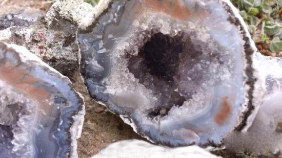 游泳教练在水里含我奶