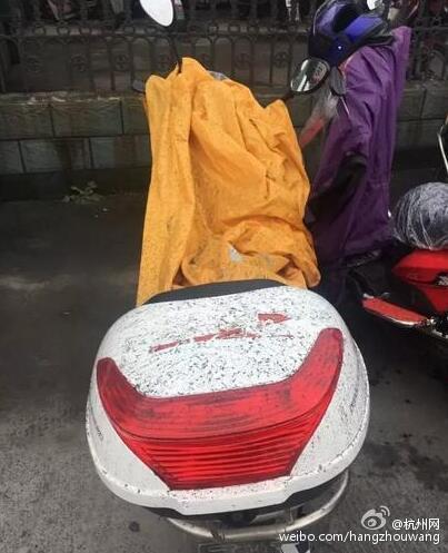 免费 做爱 片