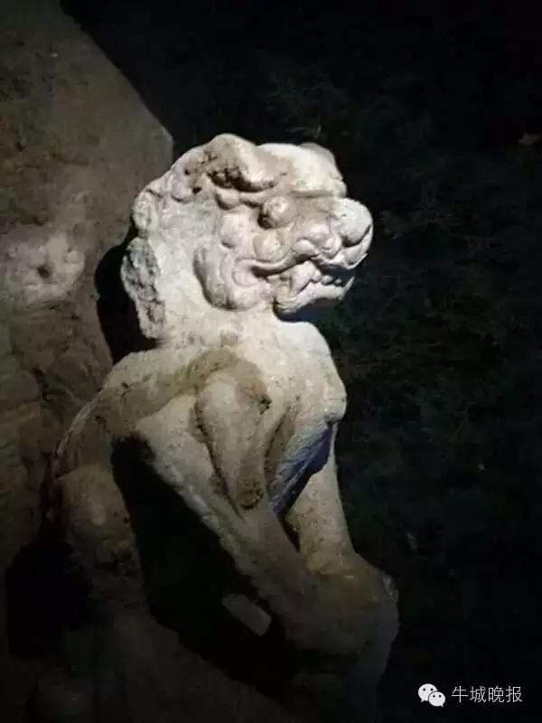 超 清 成人 电影