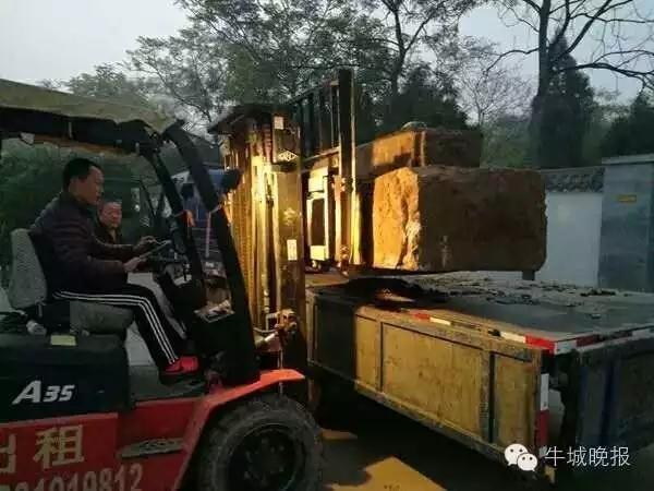 免费黄网站