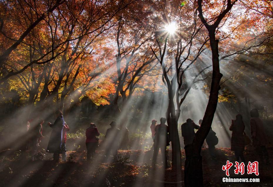 性爱精品，无码自拍