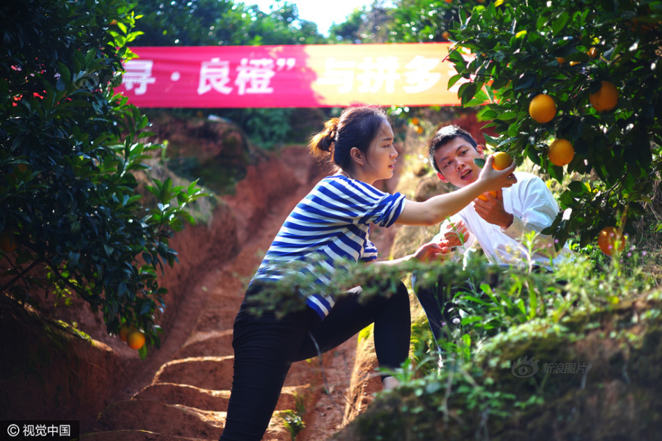 廚房做愛