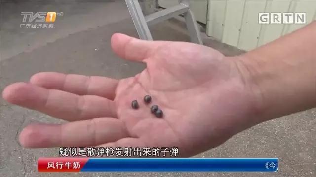 日本亲与子乱XXX