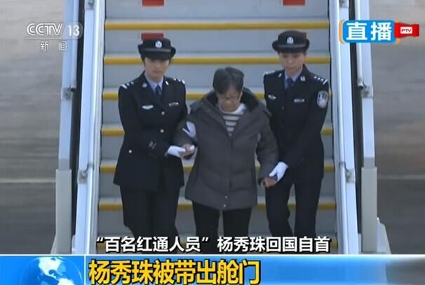 成年人夫妻黄色三級网