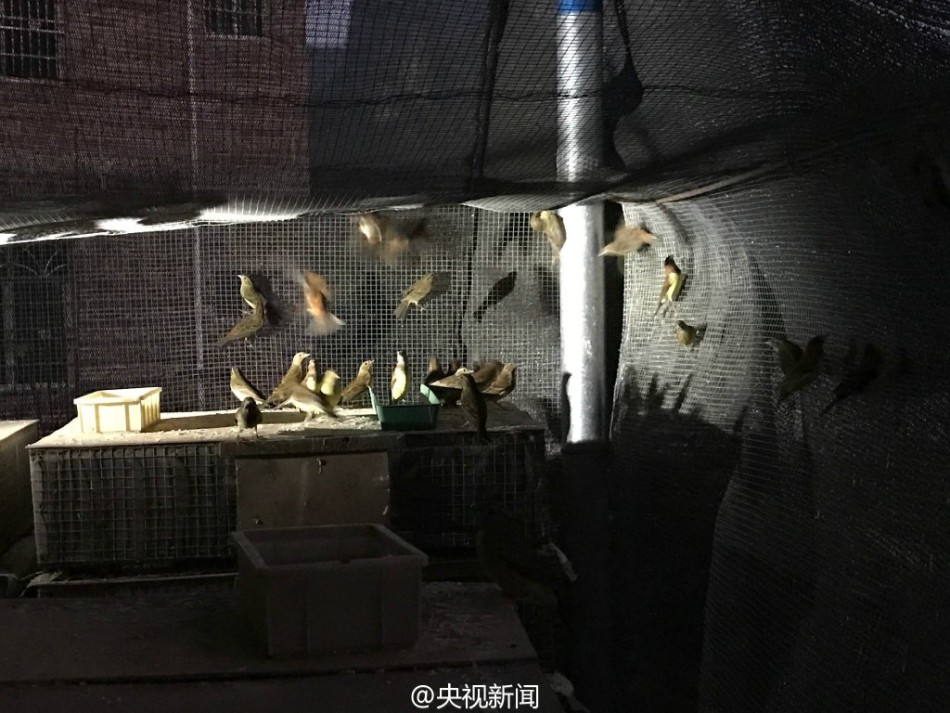 中國自拍