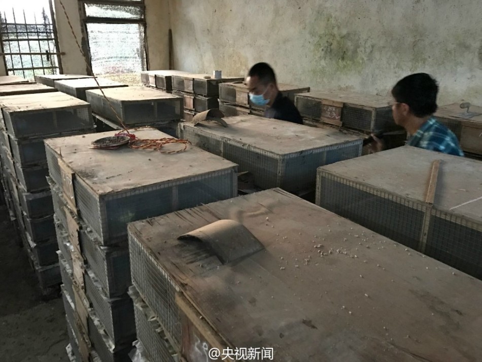 黑人公交车+多人+高cH